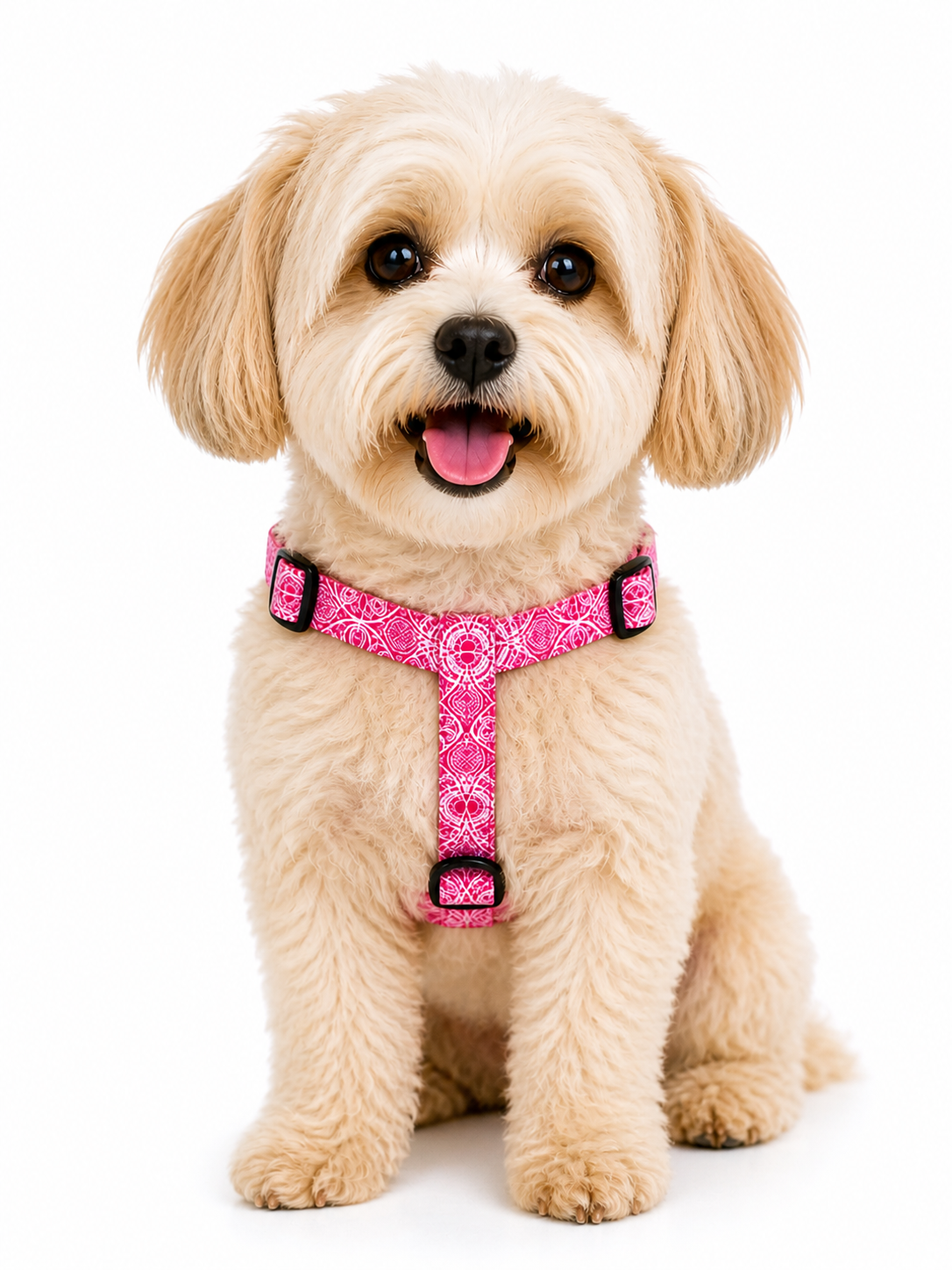 Dog Y Harness - Marquesas Designs