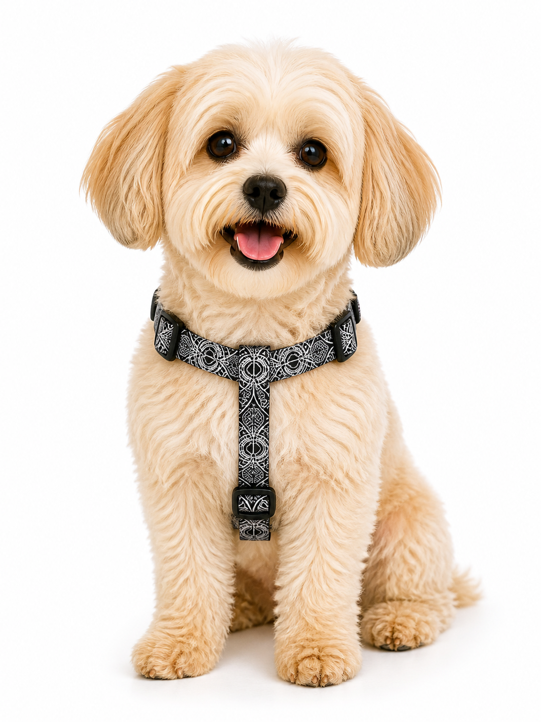 Dog Y Harness - Marquesas Designs