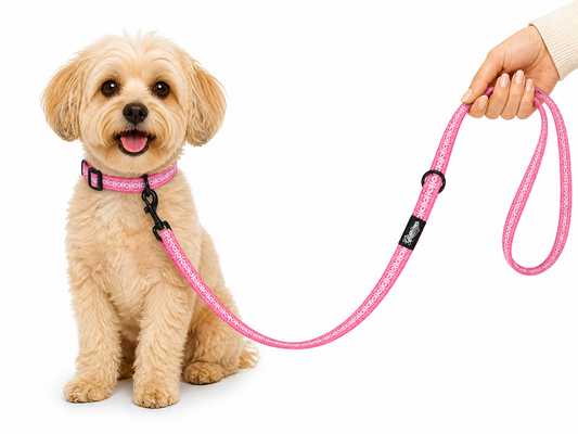 Pet Leash - Polynesian Designs