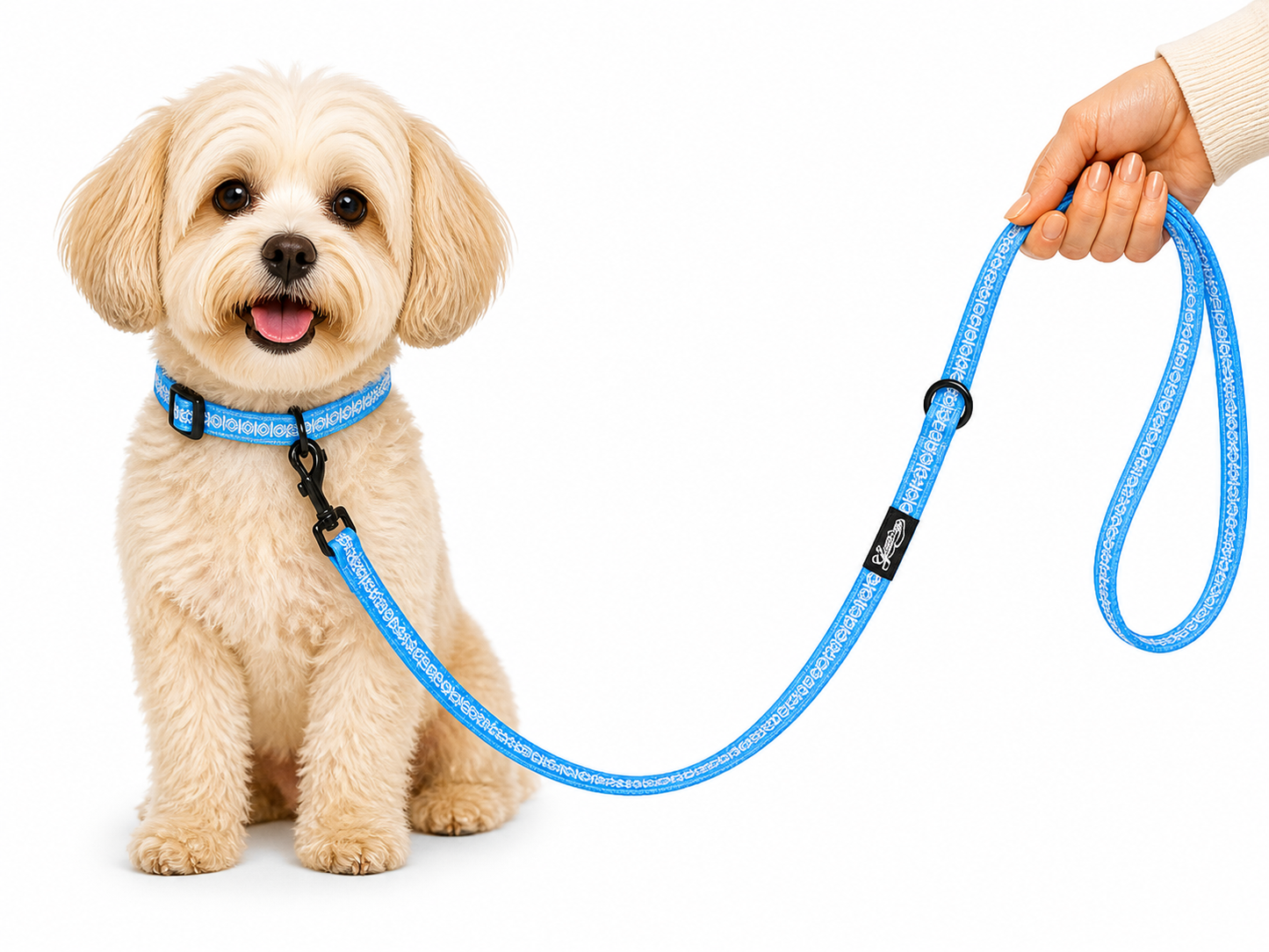 Pet Leash - Polynesian Designs