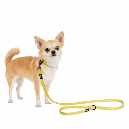 Pet Leash - Polynesian Designs