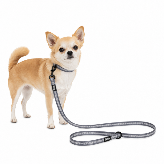 Pet Leash - Polynesian Designs