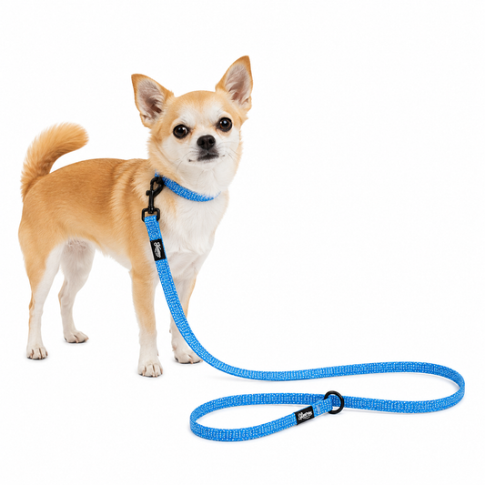 Pet Leash - Sun Tiki Design