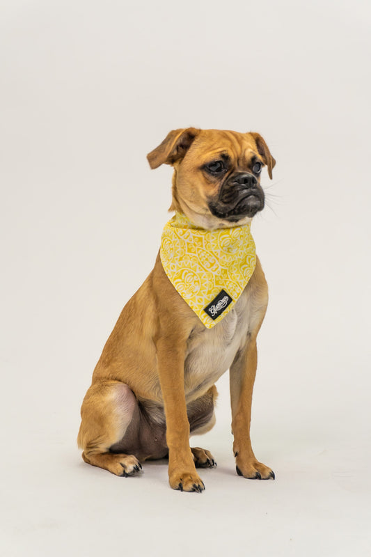 Pet Bandanas - Sun Tiki Design