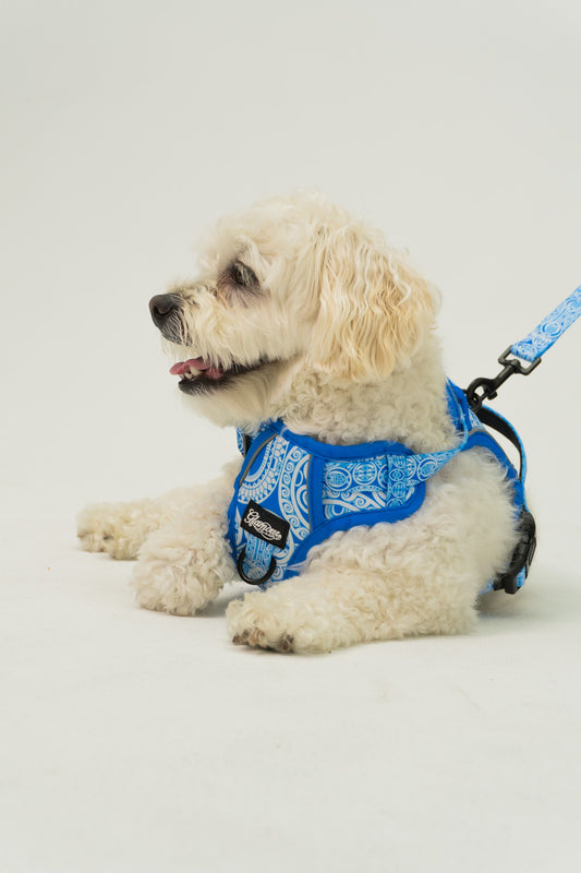 Dog Harness - Marquesas Designs